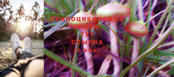 ГАЛЛЮЦИНОГЕННЫЕ ГРИБЫ Алзамай