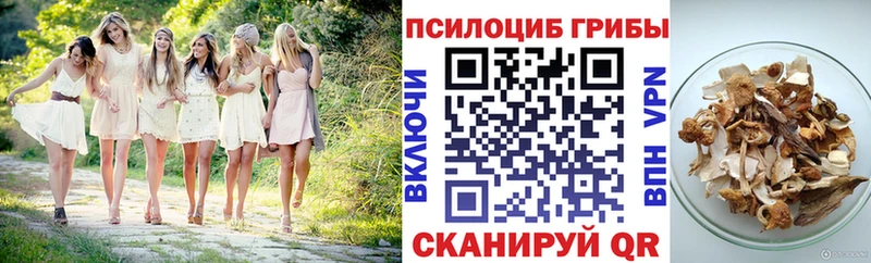 гидра онион  Полтавская  Псилоцибиновые грибы мицелий 