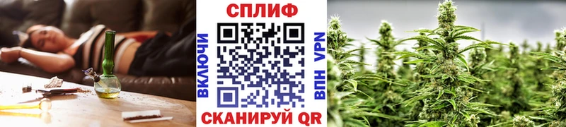 Бошки Шишки планчик  Полтавская 